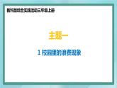 小学综合实践活动三年级上册 主题一 1.寻找校园中的浪费现象 课件+教案 （教科版）