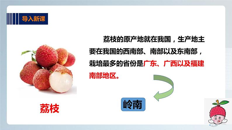 综合实践活动指引  三年级第一单元第一课时《岭南佳果》课件第3页