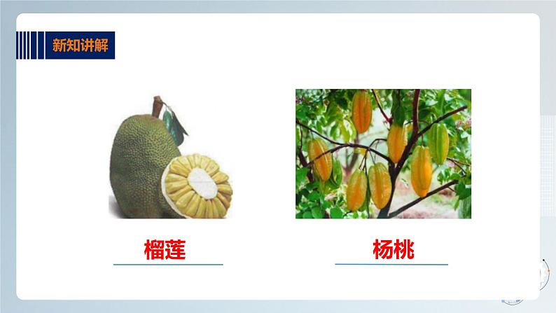 综合实践活动指引  三年级第一单元第一课时《岭南佳果》课件第8页