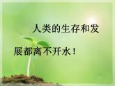 教科版综合实践五上 我当节水小卫士 课件+教案