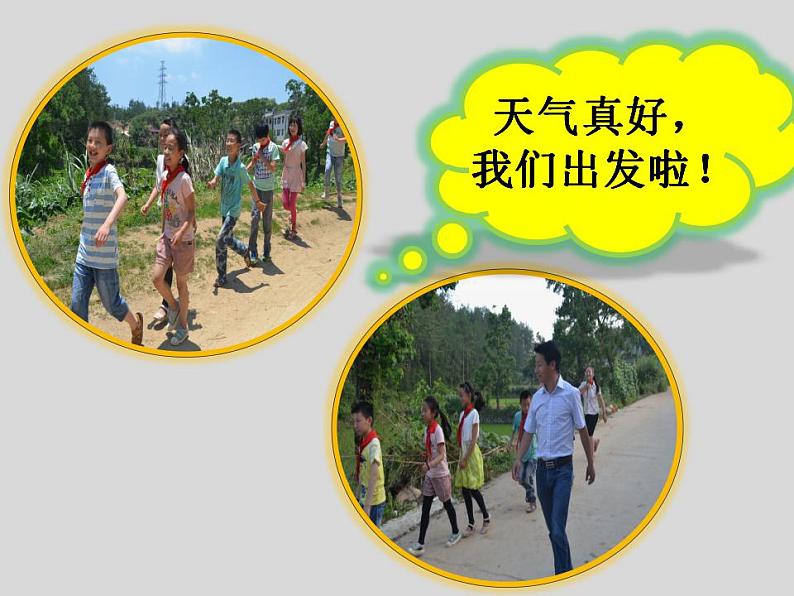 教科版综合实践六上 怎样让我们吃得更安全 课件+教案02