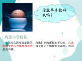 教科版综合实践四上 玩鸡蛋 课件+教案