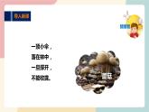 粵教版綜合實踐活動二上 第二單元《和蔬菜交朋友》第二課時 課件PPT+教案