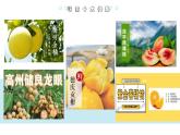 广东风情《岭南佳果品种多》 课件