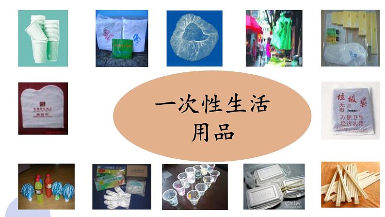 综合实践《一次性生活用品小调查》课件PPT02