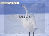 综合实践《纸雕小天鹅》课时课件