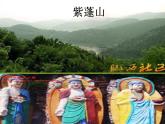 1.我是社区的小主人PPT课件