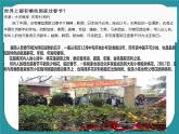 我做小交警PPT课件