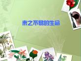 1.老年人生活状况调查课件PPT