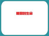1.老年人生活状况调查课件PPT