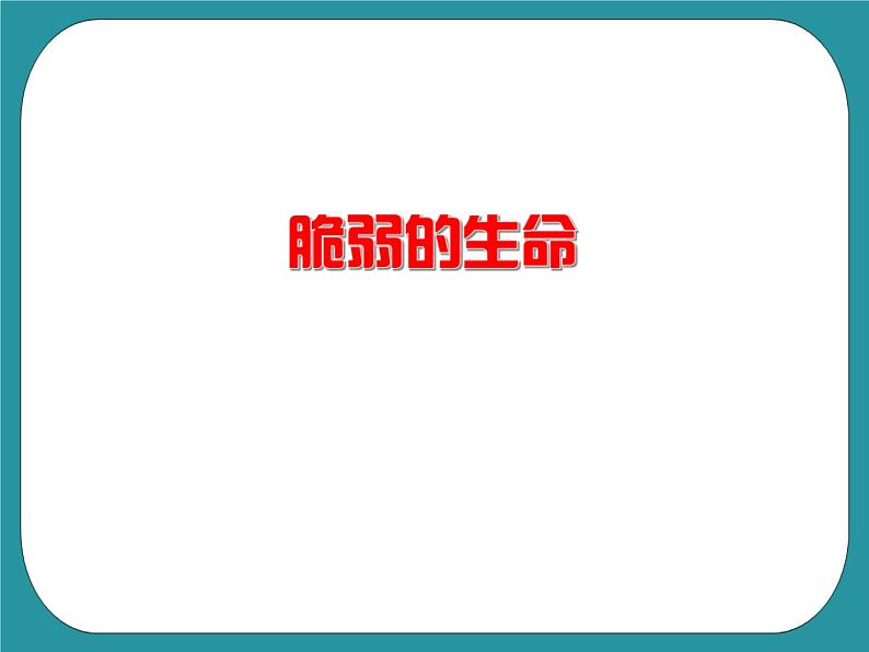 1.老年人生活状况调查课件PPT05