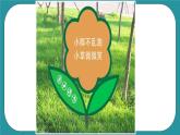 2.设计制作安全提示牌课件PPT