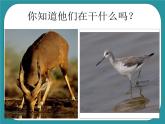 1.家务劳动小调查课件PPT