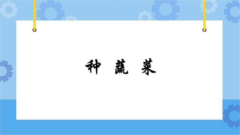 主题四 2 种蔬菜 课件PPT+教案+素材01