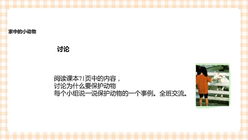 《身边的动物》  课件第3页