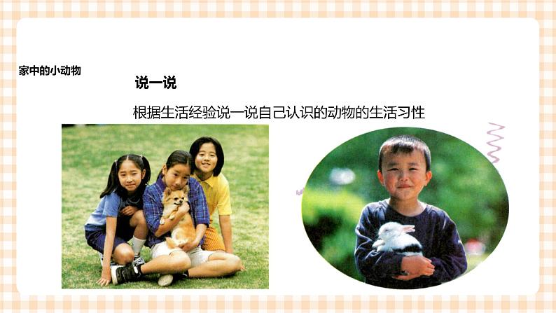《身边的动物》  课件第5页