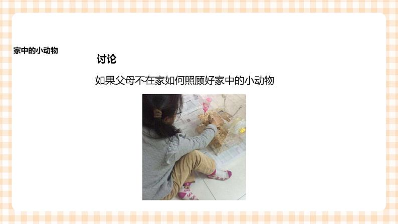 《身边的动物》  课件第7页