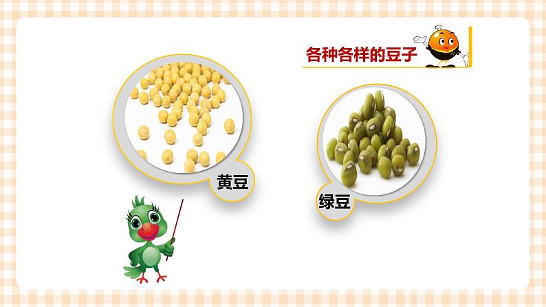 玩转豆子 第1单元 豆子有趣 课件+教案+素材03