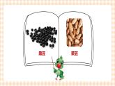 玩转豆子 第1单元 豆子有趣 课件+教案+素材