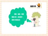 校园里的树 第2单元 大树真美  课件+教案+素材