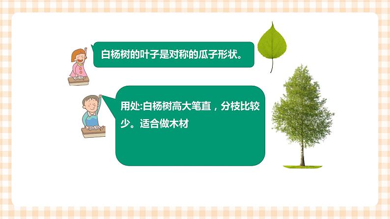 第3单元   我爱大树   课件第7页