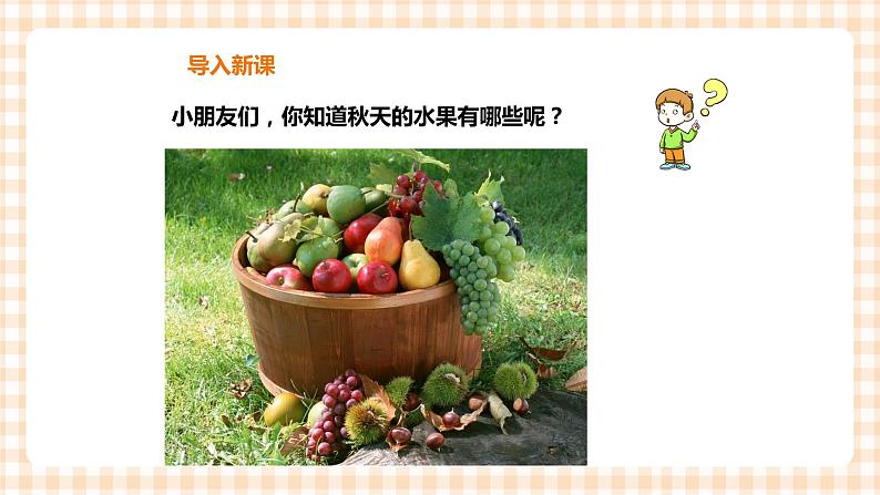 【内蒙古版综合实践】一年级第二单元 秋天的童话  主题活动二《认识水果朋友》课件+教案03