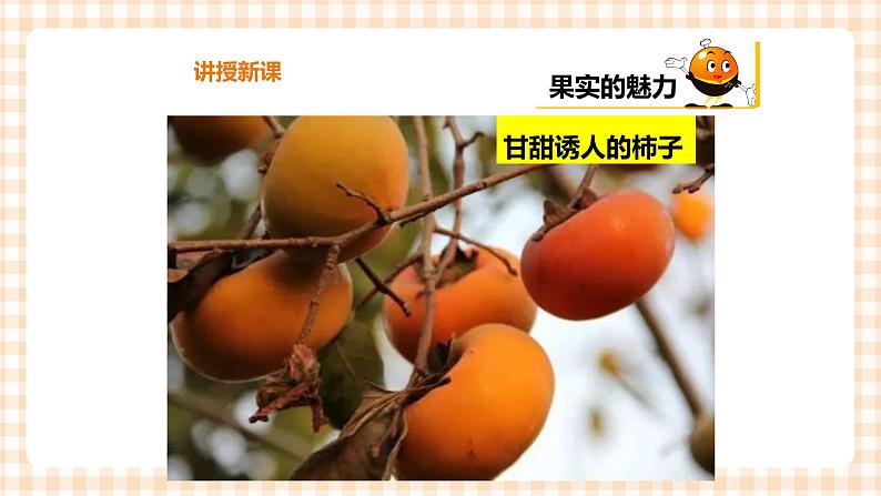 【内蒙古版综合实践】一年级第二单元 秋天的童话  主题活动二《认识水果朋友》课件+教案07