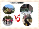 【内蒙古版综合实践】四年级第1单元主题  活动四《社区环境文明小调查》课件+教案