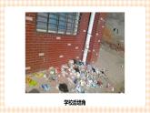 【内蒙古版综合实践】四年级第三单元  设计制作 主题活动四《自主选题》 课件+教案