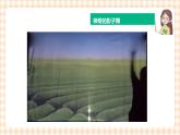 【内蒙古版综合实践】二年级 第三单元 神奇的影子  主题活动三《影子的作用》课件+教案