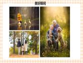【内蒙古版综合实践】第3单元主题活动二《镜头下的美丽世界》课件+教案