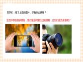 【内蒙古版综合实践】第3单元主题活动二《镜头下的美丽世界》课件+教案