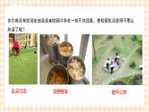 【内蒙古版综合实践】第4单元主题活动二《我为集体献一计》课件+教案