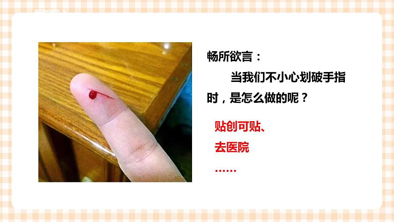 第四单元 职业体验及其他  主题活动三《我是家庭小医生》  课件第2页