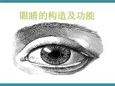 四年级下册综合实践活动课件－4.2让眼睛更明亮  ｜沪科黔科版