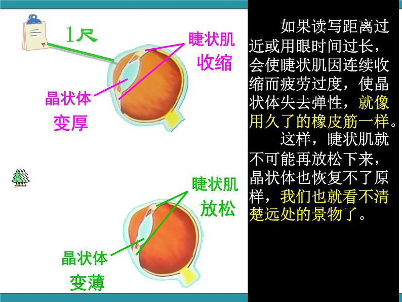 四年级下册综合实践活动课件－4.3个人护眼计划 ｜沪科黔科版第8页