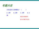 四年级下册综合实践活动课件－6.3端午小考场 ｜沪科黔科版