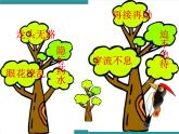 六年级上册综合实践活动课件+教案-第五单元 汉字王国 活动二：小小啄木鸟∣ 沪科黔科版