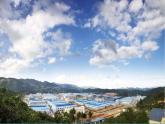 五年级下册综合实践活动课件+教案-第5单元 保护家乡的环境 活动一 家乡河流生态探察  沪科黔科版