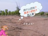 五年级下册综合实践活动课件+教案-第5单元 保护家乡的环境 活动二 宣传科学施肥  沪科黔科版