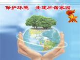 五年级下册综合实践活动课件+教案-第5单元 保护家乡的环境 活动三 我是环保特使  沪科黔科版