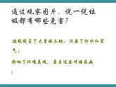 五年级下册综合实践活动课件+教案-第5单元 保护家乡的环境 活动三 我是环保特使  沪科黔科版