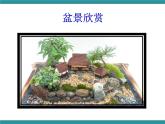 五年级下册综合实践活动课件+教案-第6单元 生活中的塑料 活动二 自制泡沫盆景  沪科黔科版