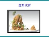 五年级下册综合实践活动课件+教案-第6单元 生活中的塑料 活动二 自制泡沫盆景  沪科黔科版