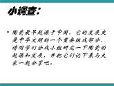 六年级下册综合实践活动课件- 精致的陶瓷｜长春版