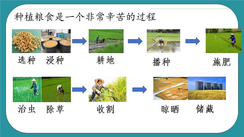《杜绝浪费，从我做起—来之不易的粮食》（课件+教案）长春版六年级上册综合实践活动08