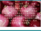 三年级上册综合实践活动课件-3我和蔬菜交朋友   长春版