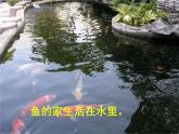 三年级下册综合实践活动课件－ 2动物的家 ｜长春版