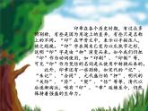 四年级下册综合实践活动课件－ 2蔬菜印象  ｜长春版