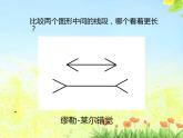 四年级下册综合实践活动课件－ 13光幻视与光游戏  ｜长春版